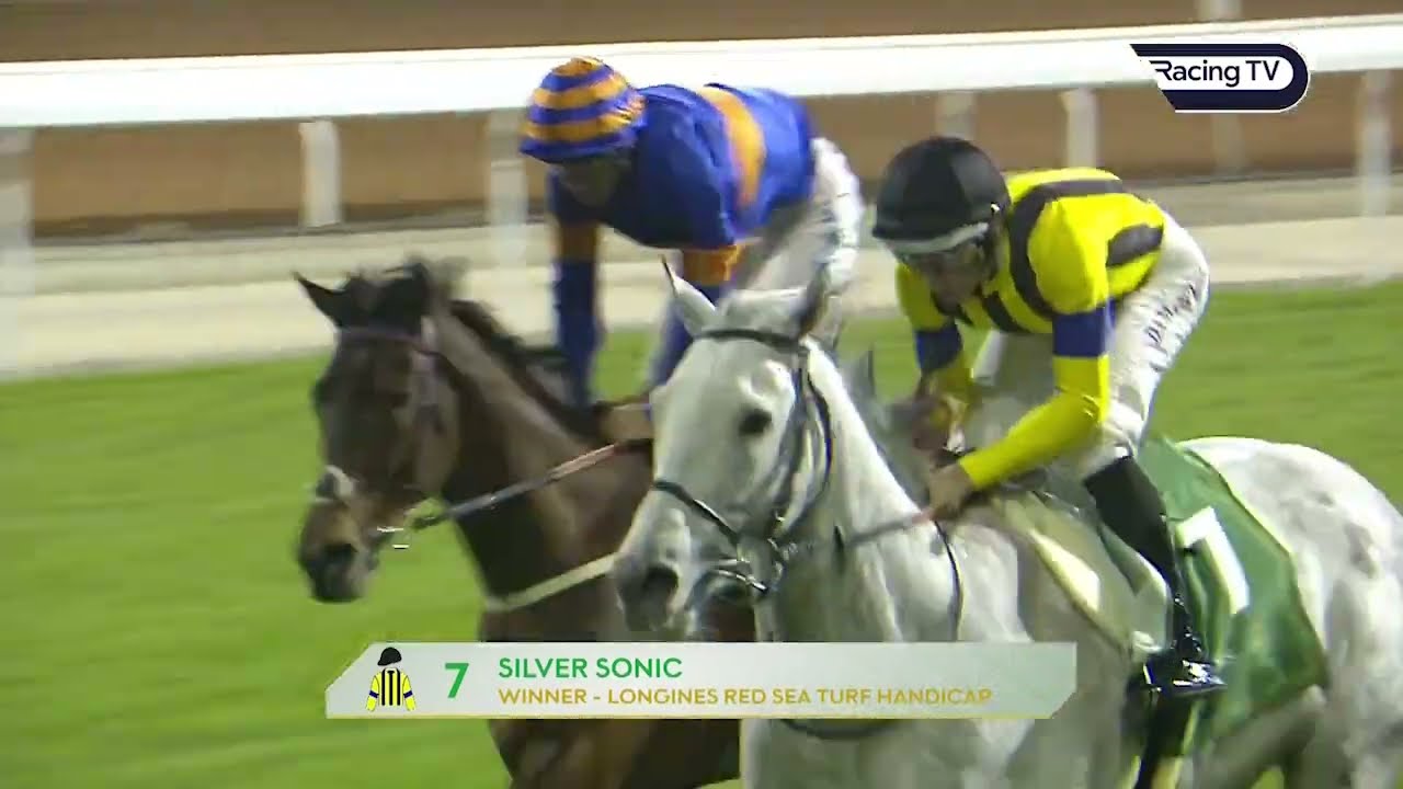 🇯🇵 Silver Sonic is a stunning winner for Japan on Saudi Cup night in Riyadh! - Racing TV