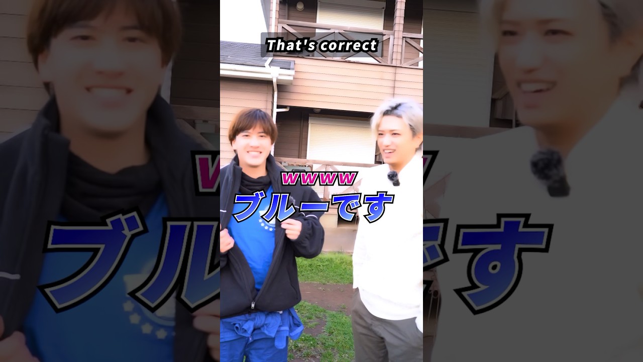 猫のひたいほどワイドご褒美ロケ④ #井上正大 #白又敦#井上流 #shorts #猫ひた