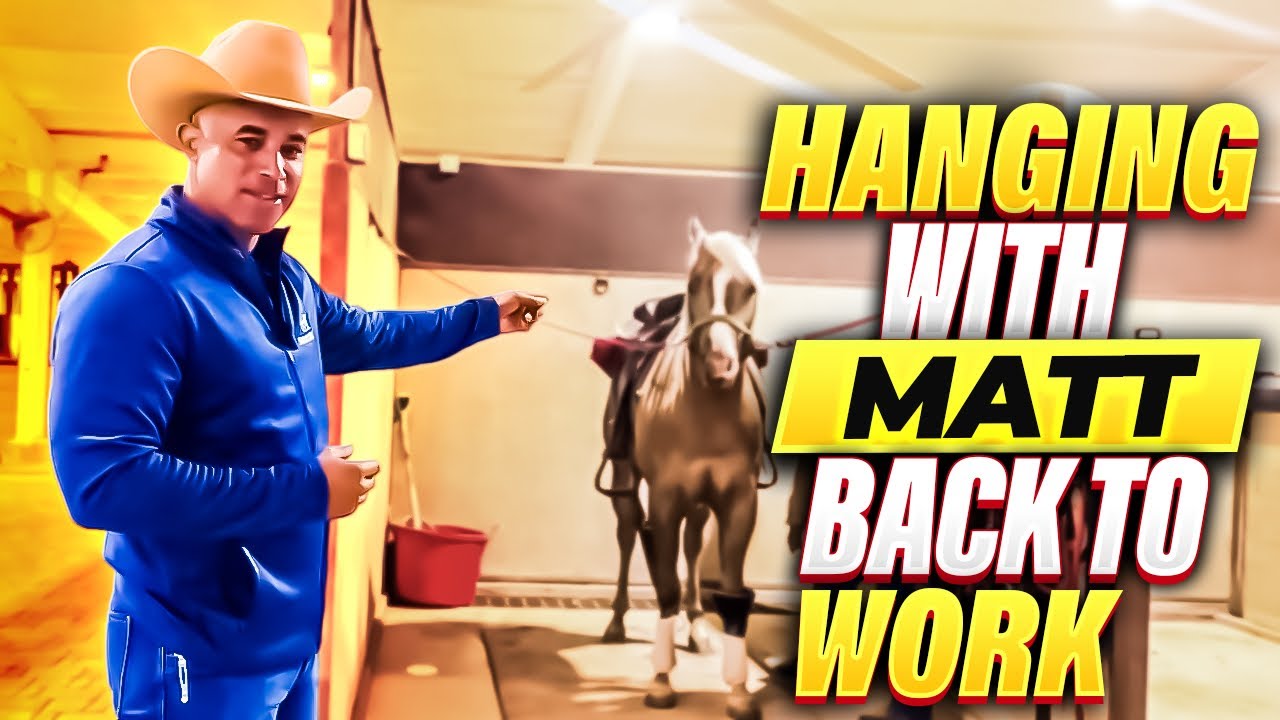 Hanging With Matt “ Back To Work “