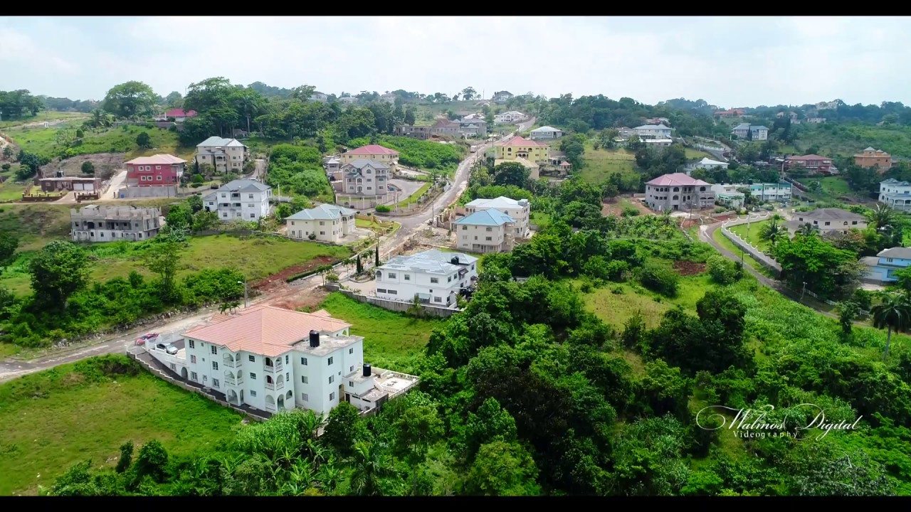 Flying Jamaica | Cedar Gardens | Mandeville | Walinton Mosquera
