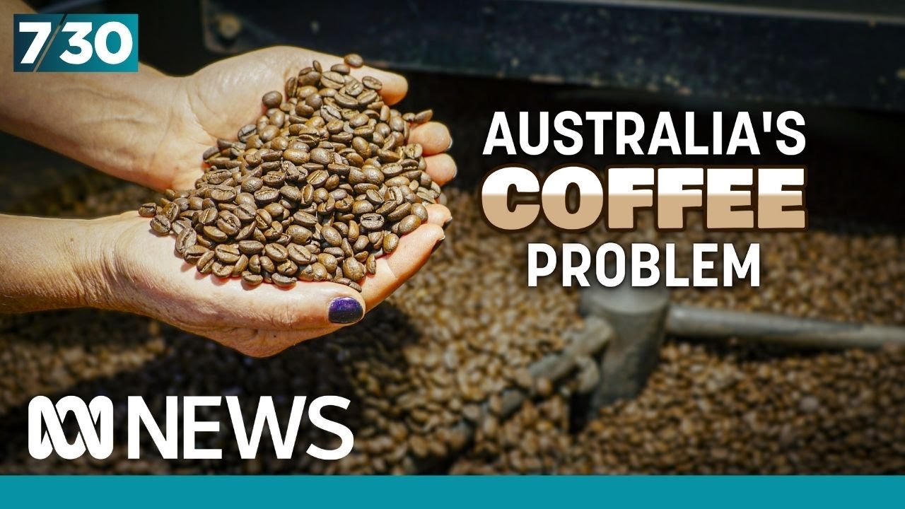 Bid to boost Australia’s homegrown coffee industry | 7.30