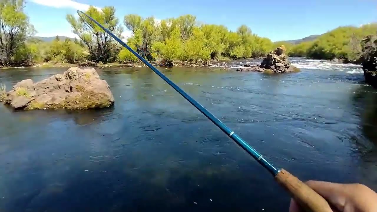 NO PESQUEN TRUCHAS ASÍ...❌🍀🎣 
