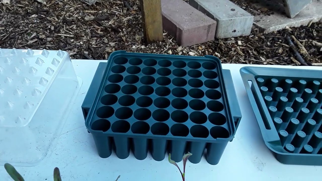 Are Agralan Plug Plant Trainers Any Good 🌻 My Personal Review