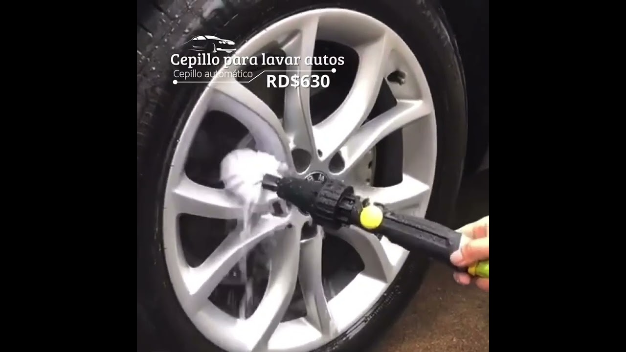 Cepillo para lavar autos