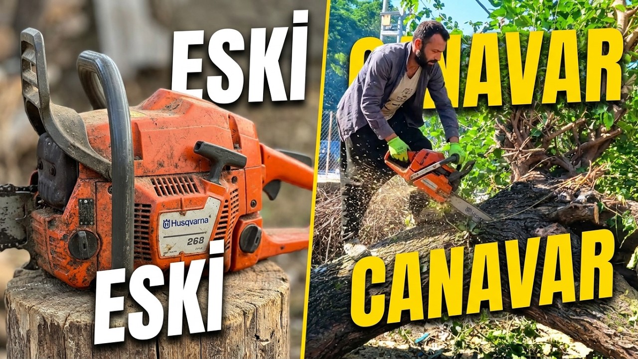 Eski Husqvarna 268 Testere Testi 🌲 Hala Güçlü