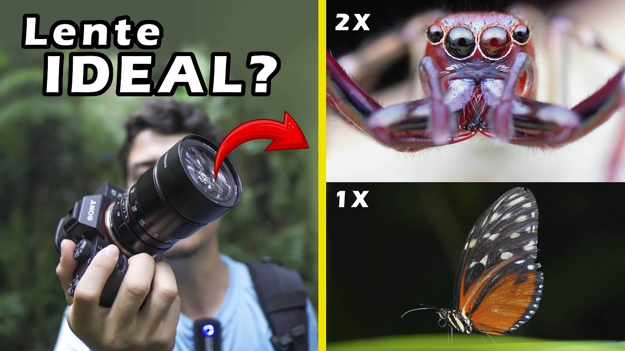 LENTE Macro IDEAL? Fotografía de Mariposas / Nuevo 60mm 7artisans 2.8