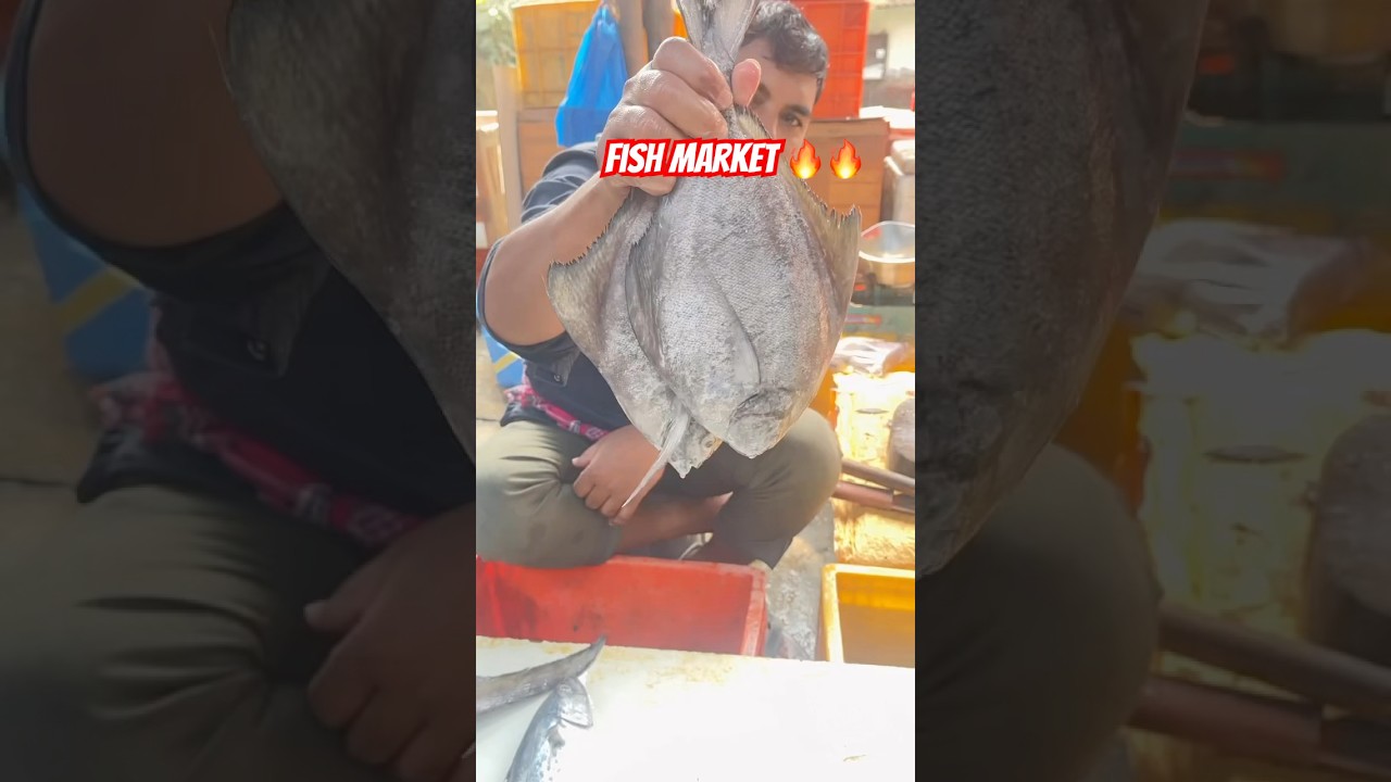 Miraroad wholesale fish market #shorts