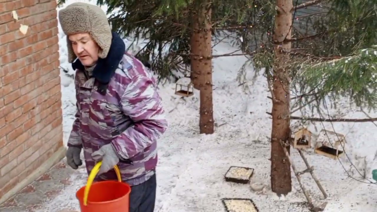 Первый понедельник весны в вольном зоопарке за окном.Карта на корм зверятам 2202 2062 6013 7323