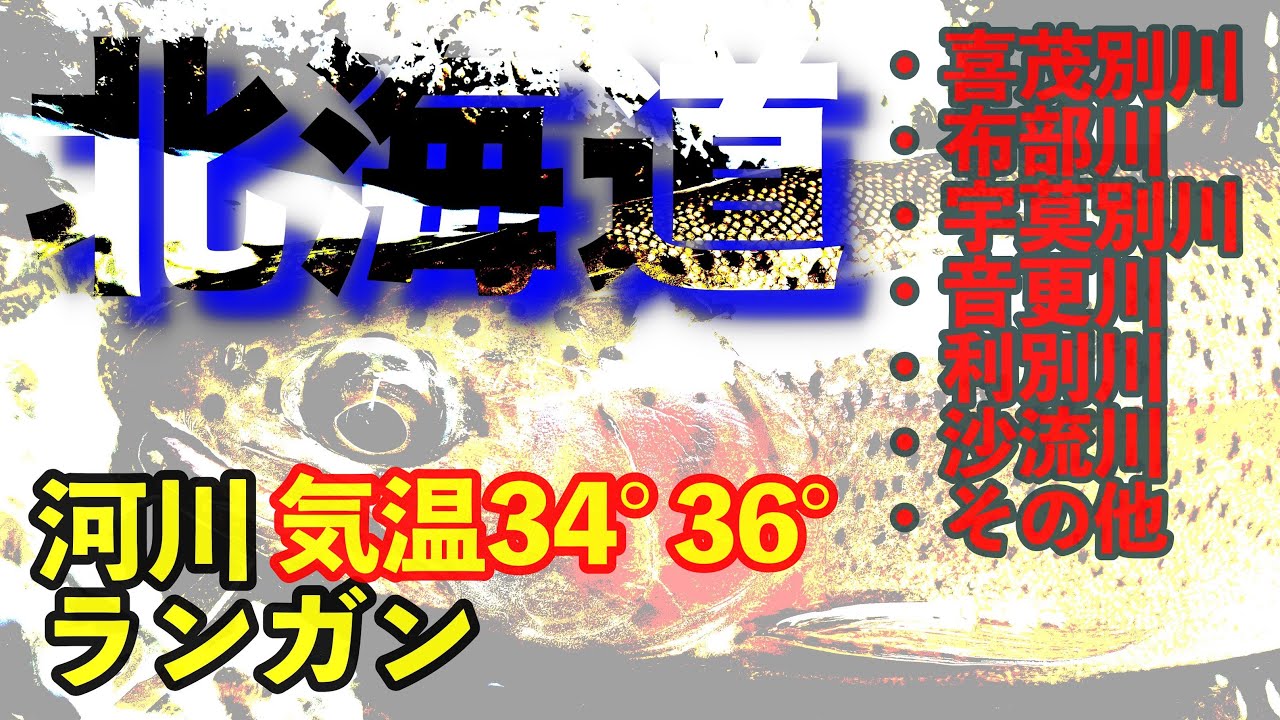 【4Ｋ】北海道「尻別川水系」「石狩川水系空知川支流」「石狩川水系美瑛川支流」「十勝川水系支流」「沙流川水系」河川ランガン ニジマス ヤマメ釣行 ルアーフィッシング