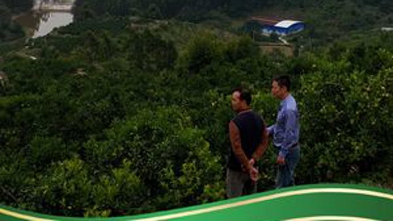 返野生循环农业不仅可以帮助学员的基地，还可以帮助附近的农户 #乡村振兴 #学员回访