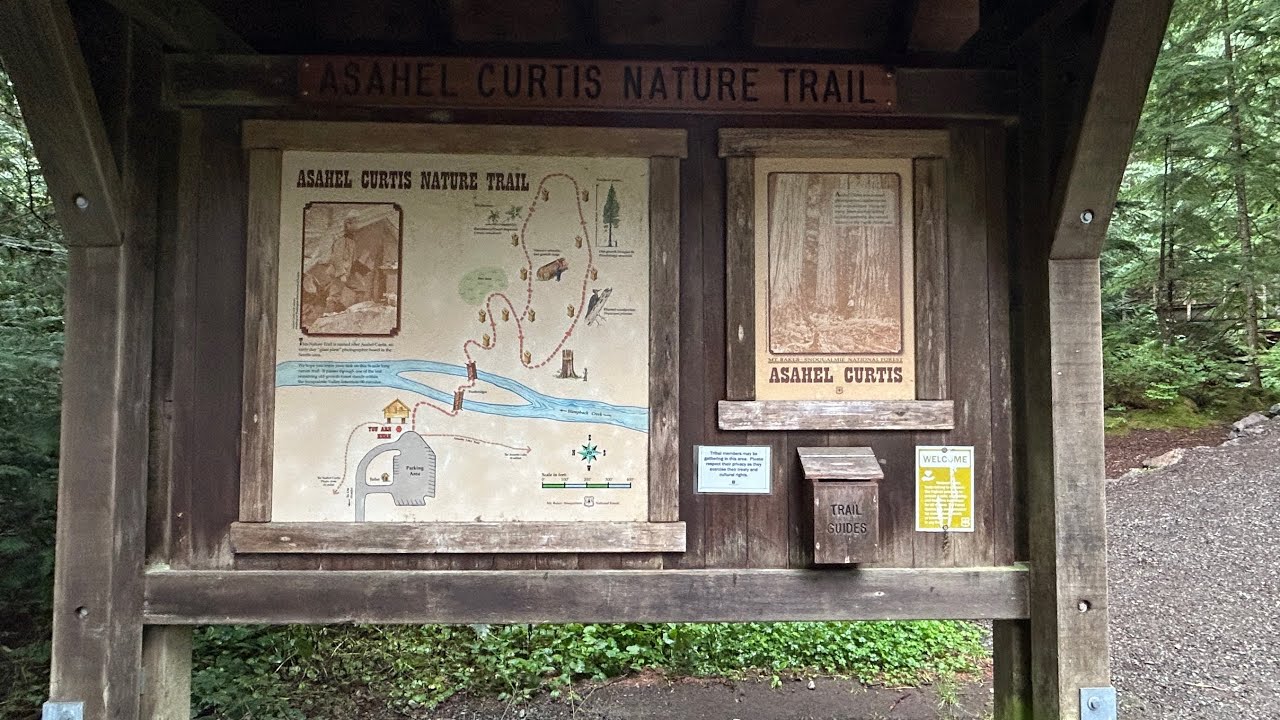 Easy walk - Asahel Curtis Nature Trail |  Exit 47, I-90 Snoqualmie Pass