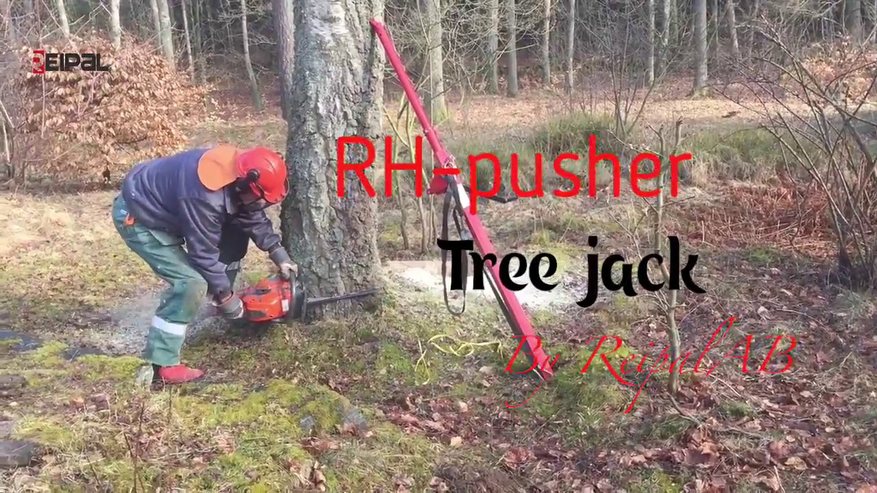 Tree pusher RH-pusher for safety tree cutting