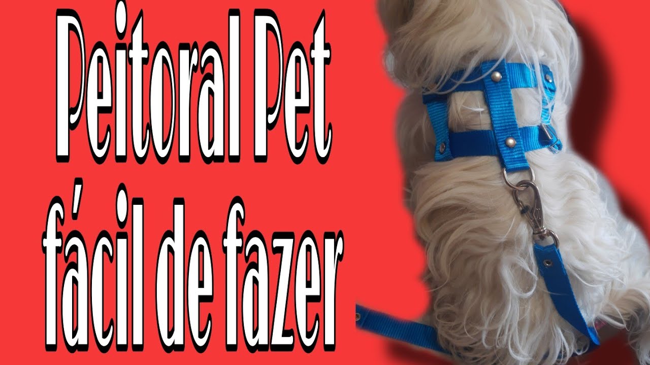 Como fazer Guia pet/ com fivelas/ Modelo de agropecuária