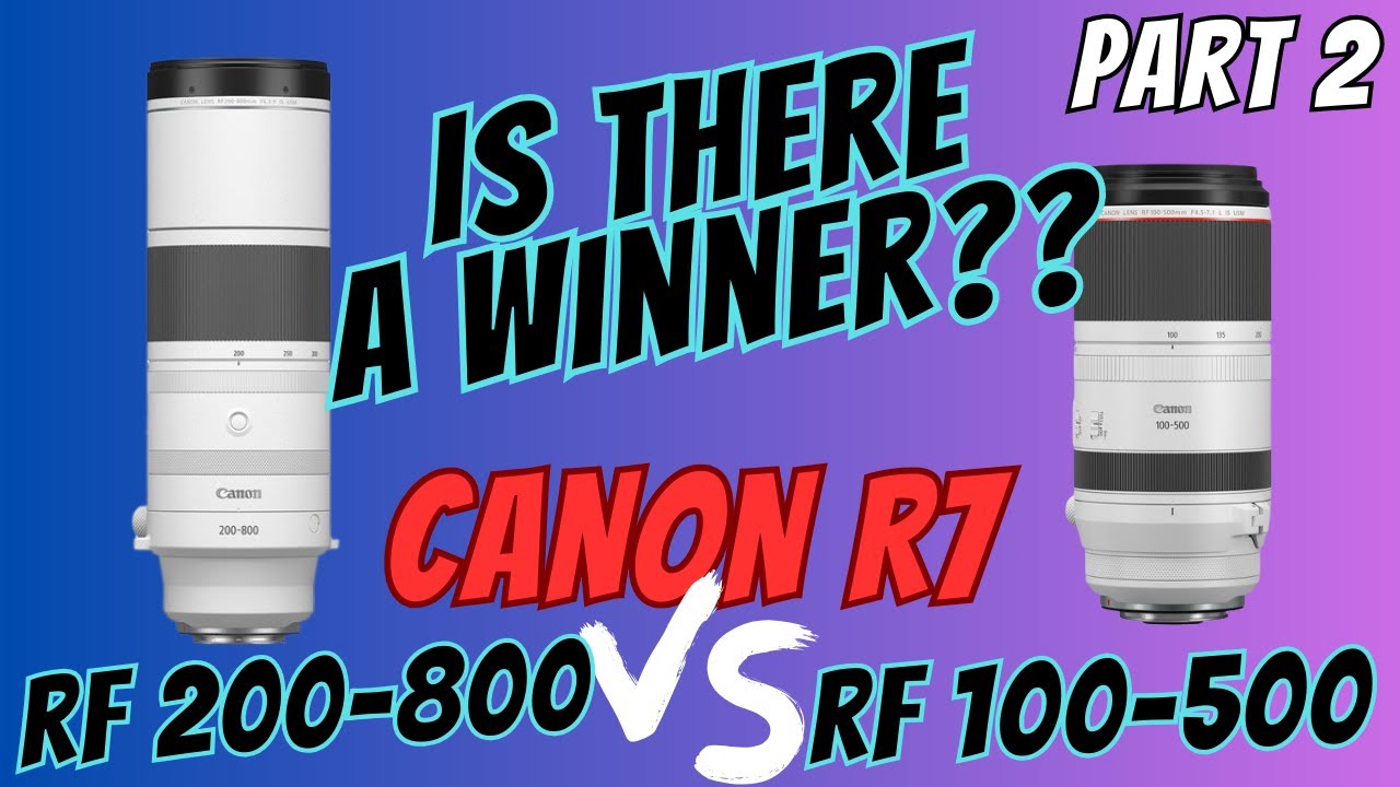 CANON RF 200-800 против RF 100-500 + 1.4 TC на Canon R7 | ЕСТЬ ЛИ ПОБЕДИТЕЛЬ? Тест на IQ | Часть ...