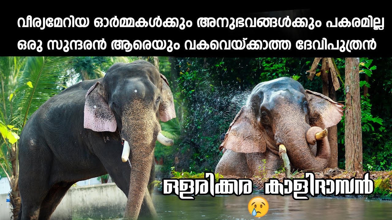 ഒളരിക്കര കാളിദാസൻ 💔