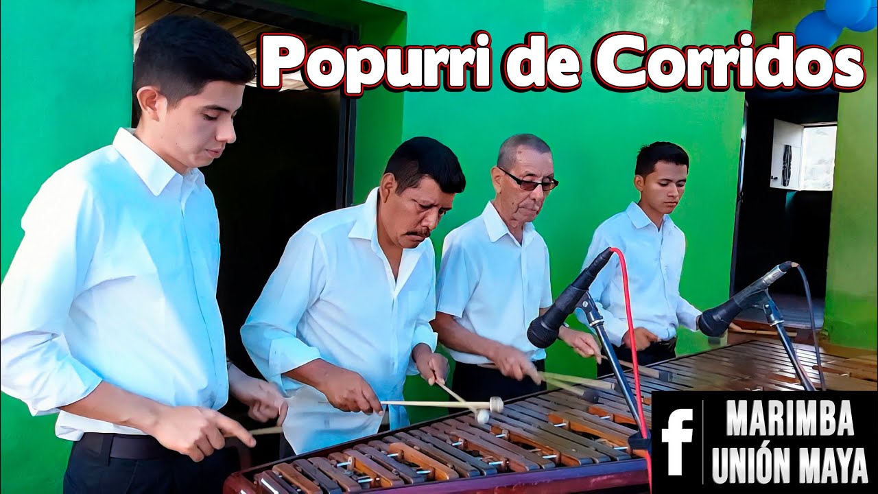 Popurri de Corridos con MARIMBA pura - El Tacuazin, El Caitudo, Chicha Fuerte, El Frijolito