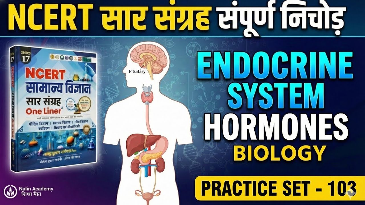 NCERT सार संग्रह प्रैक्टिस: Endocrine System (अंतः स्रावी तंत्र) | NCERT Saar Sangrah Biology |