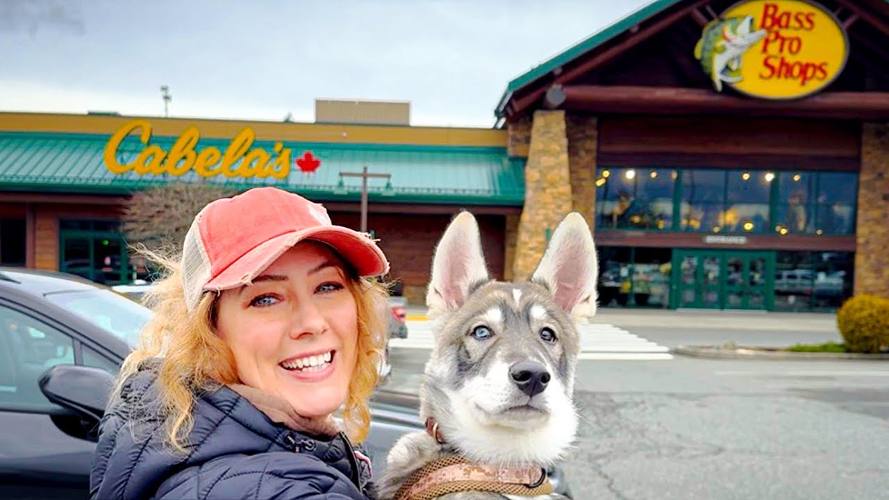 Собираюсь сводить своего щенка в магазин Cabela&rsquo;s и планирую приключения на острове Ванкувер.