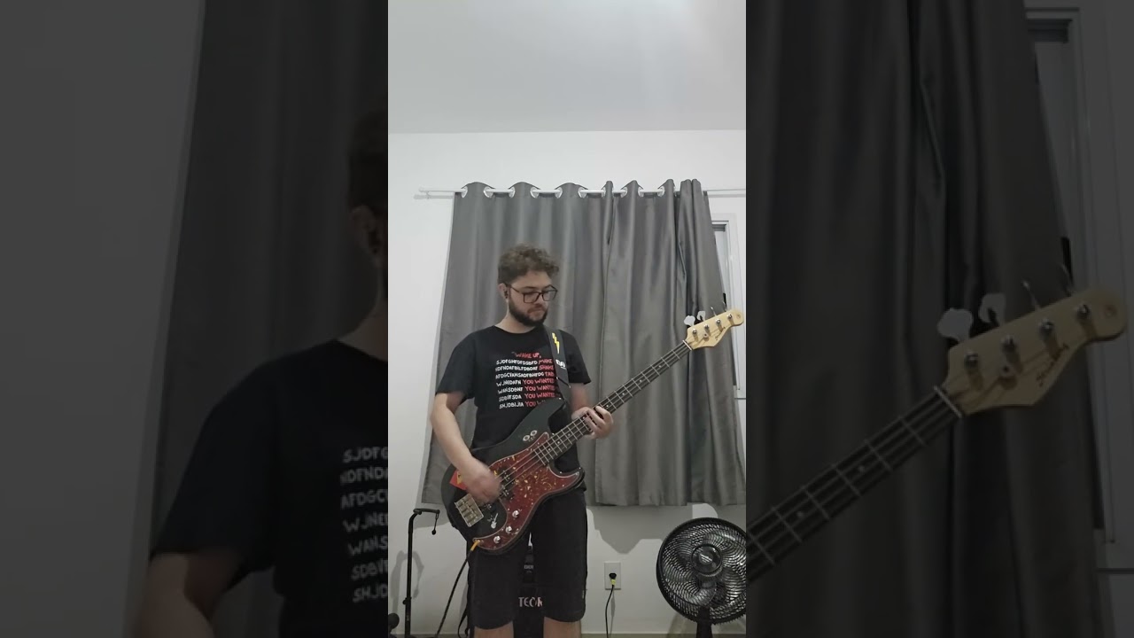 Reptilia - The Strokes (Cover de Baixo)
