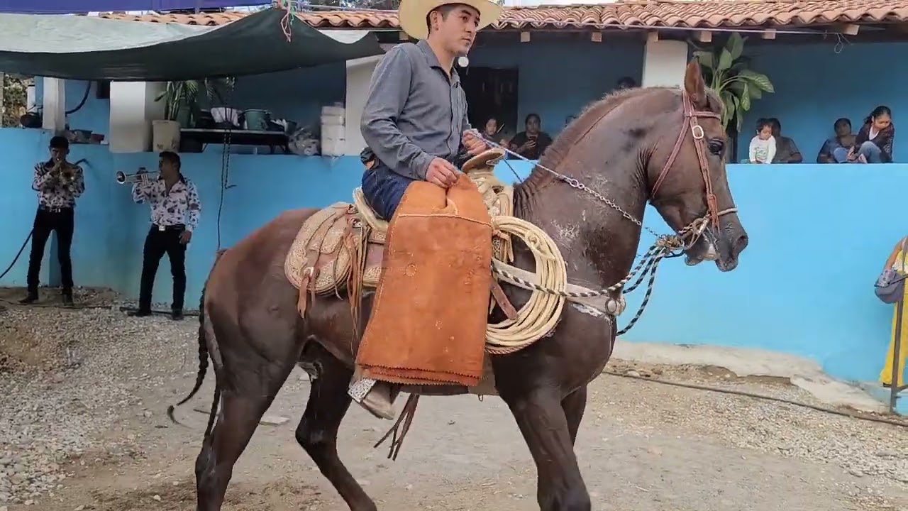 corrido de Mario Uriostegui Vela
