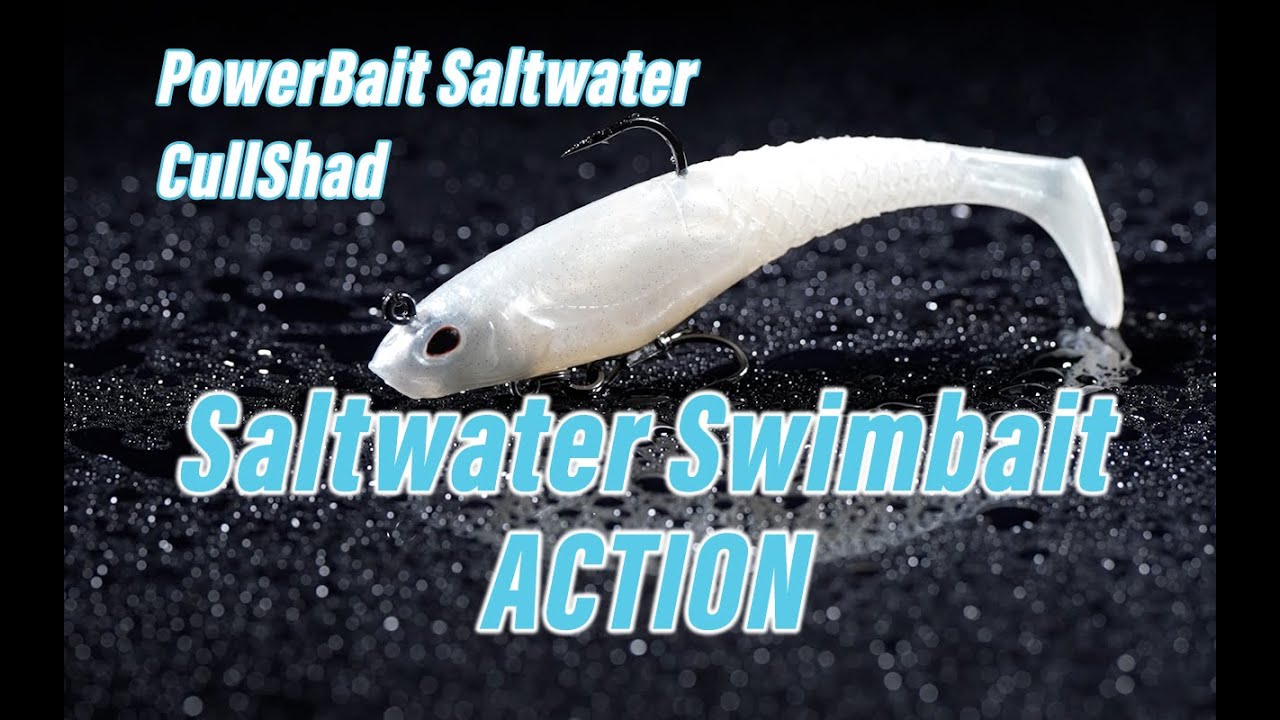 Как ловить рыбу на приманку PowerBait Saltwater CullShad | Подводная съемка