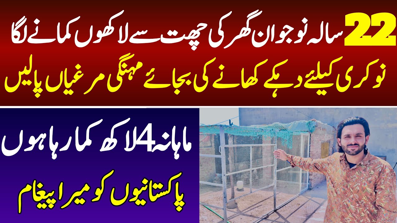 How to start fancy poultry farming at home