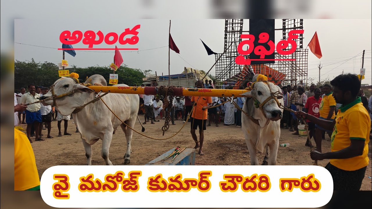  మొర్జంపాడు 6పళ్ళు 3జత Yమనోజ్ చౌదరి గారు రావిపాడు అఖండ రైఫిల్