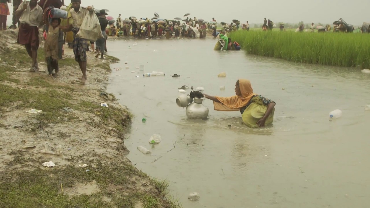 Rohingya Response