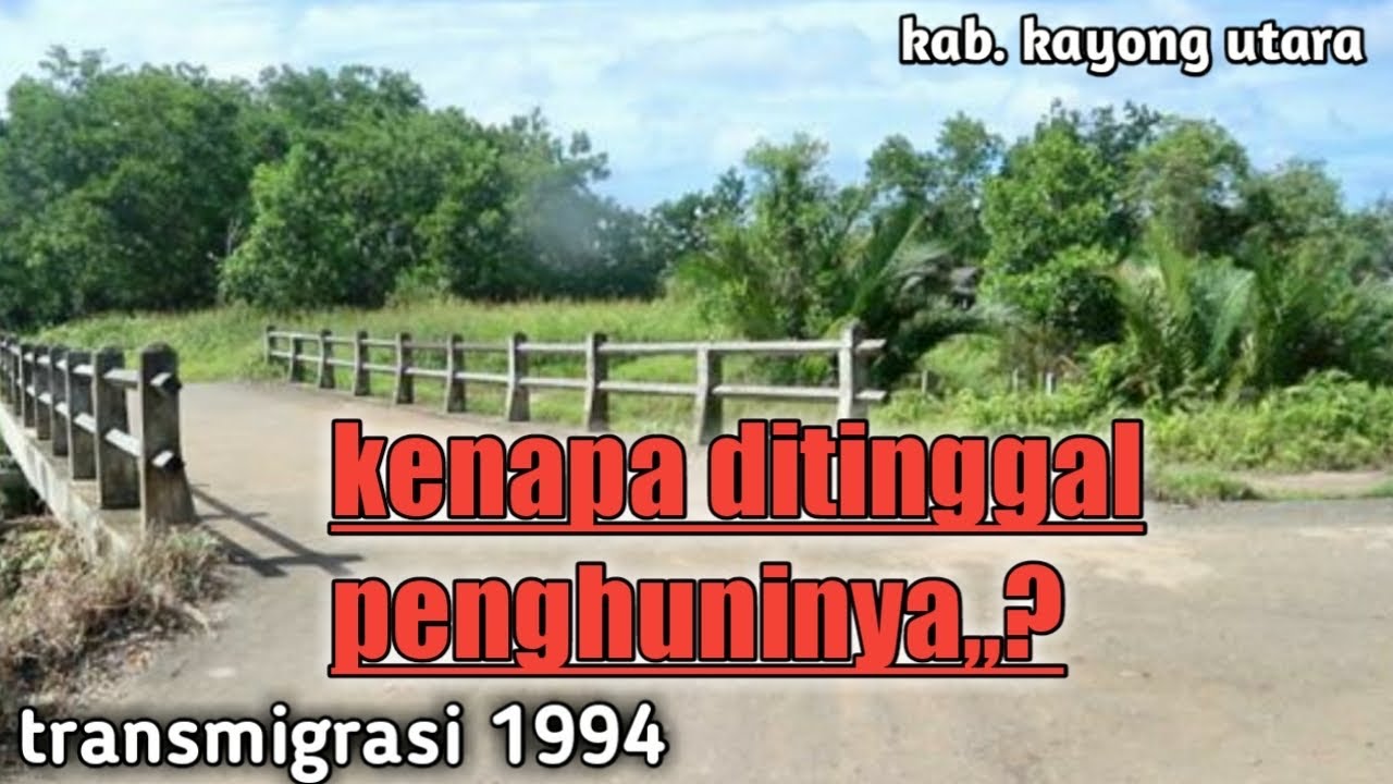 KONDISI TRANSMIGRASI DURIAN SEBATANG  DARI 390 SISA 12 KK