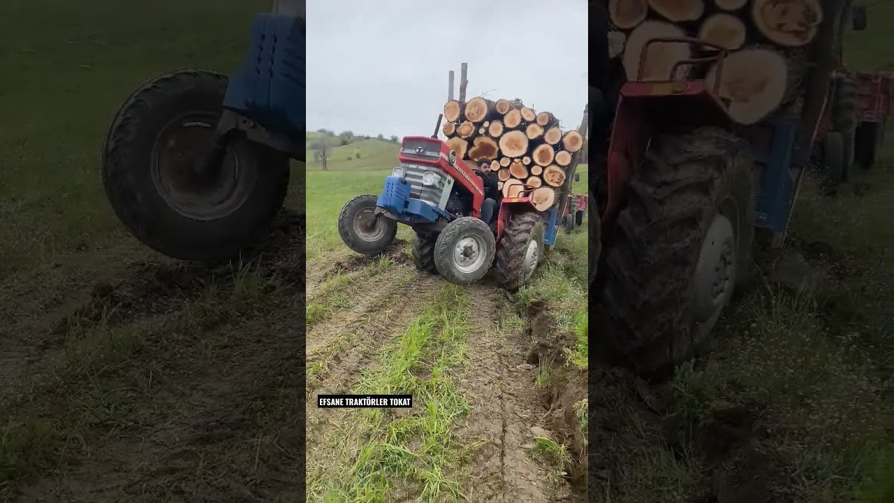 BATIYORUZ! 💪🏼 #tractor #agriculture #automobile #agriculturefarming #farming #auto #mf #crop #massey