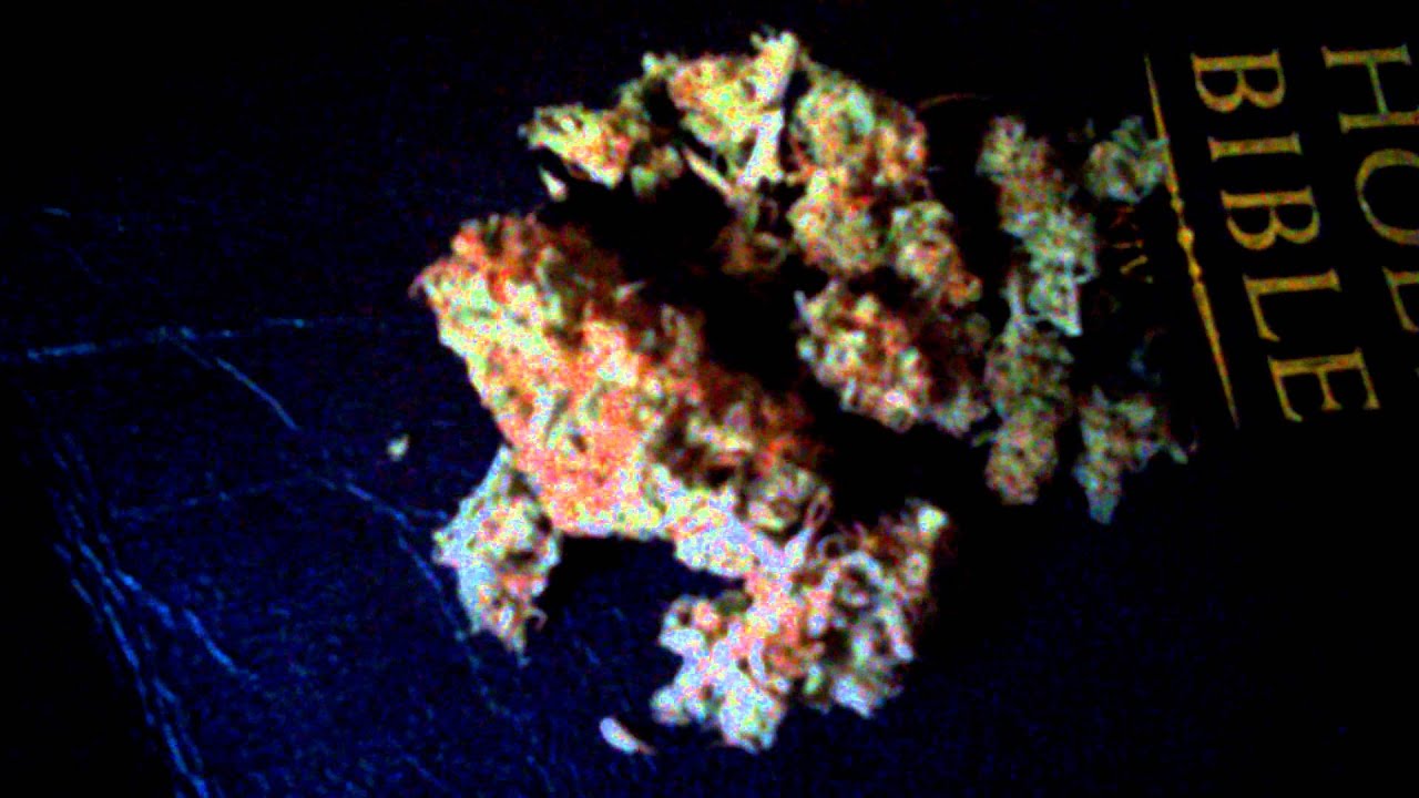 New strain: Juicy Fruit