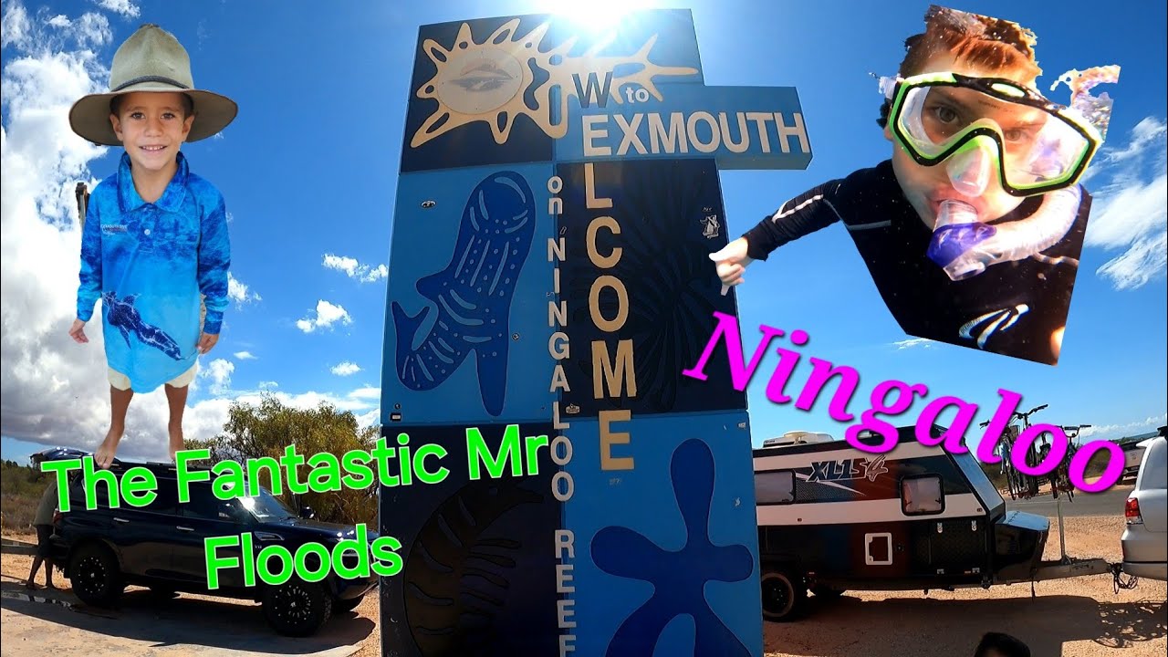 Ningaloo road trip
