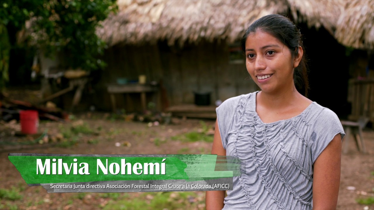 Participación de mujeres en el Manejo Forestal Sostenible y la Conservación de la RBM