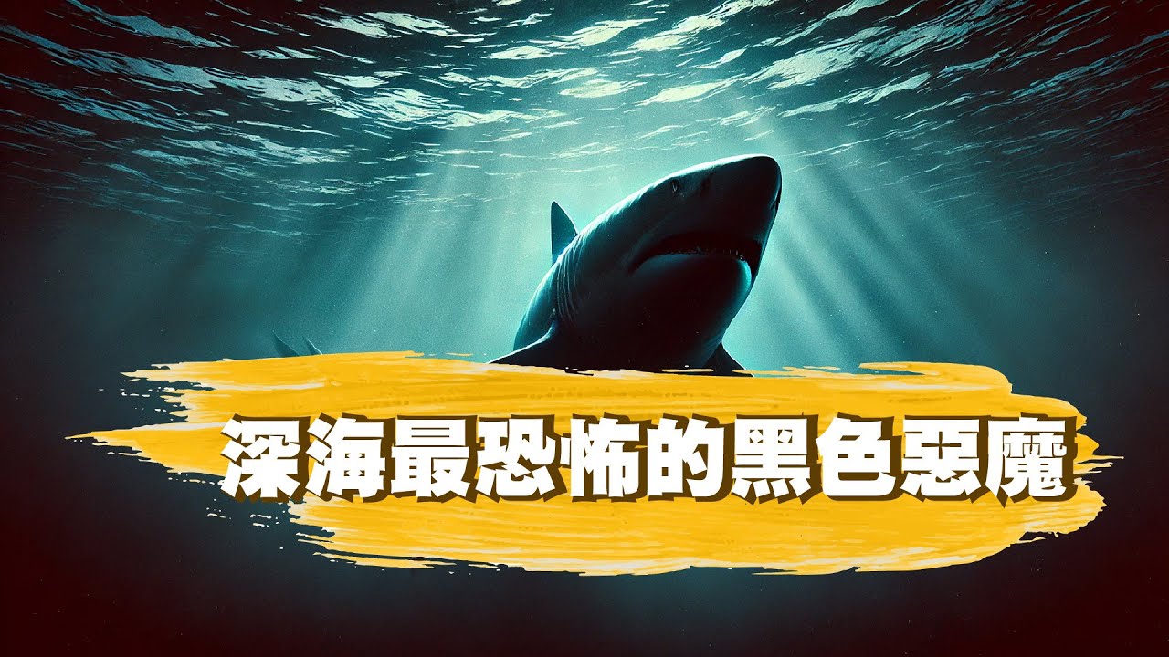 【深海恐懼】比大白鯊更可怕的黑魔鯊傳說，18公尺巨鯊真實存在？