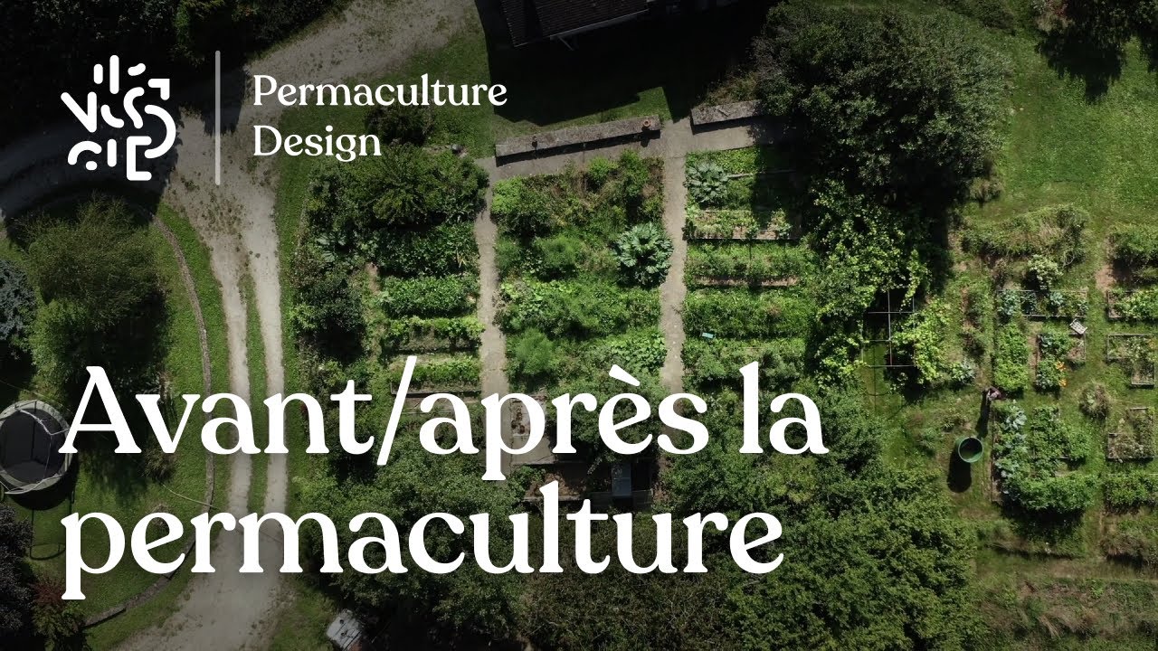 Comment transformer un jardin « classique » grâce à la permaculture ?