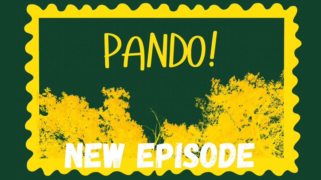 Pando | Would you Love me If I was a bear | Ep.2