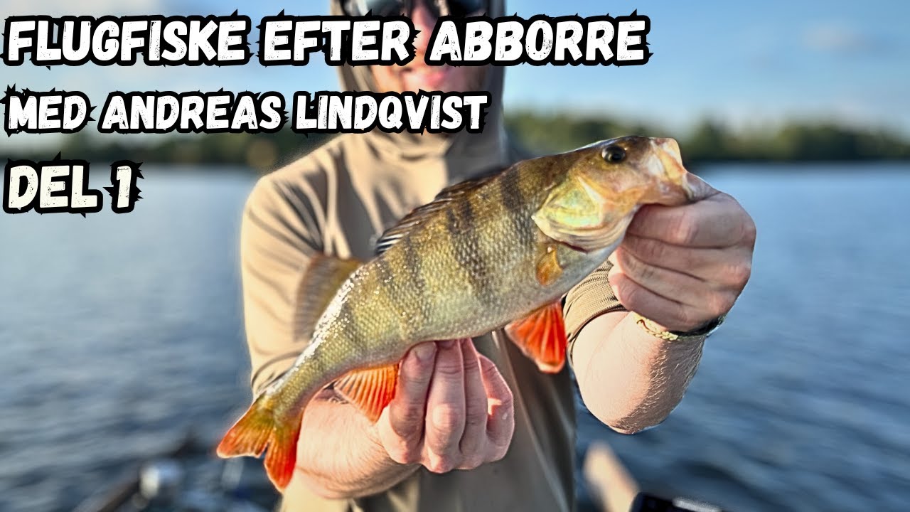 Flugfiske efter abborre - med Andreas Lindqvist - del 1 - Fiske med gäster