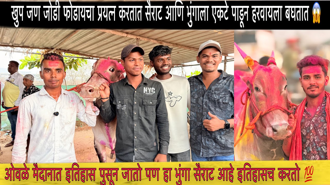 सैराट मुलाखत | खुप जण जोडी फोडायचा प्रयत्न करतात सैराट आणि भुंगाला एकटे पाडून हरवायला बघतात 😱