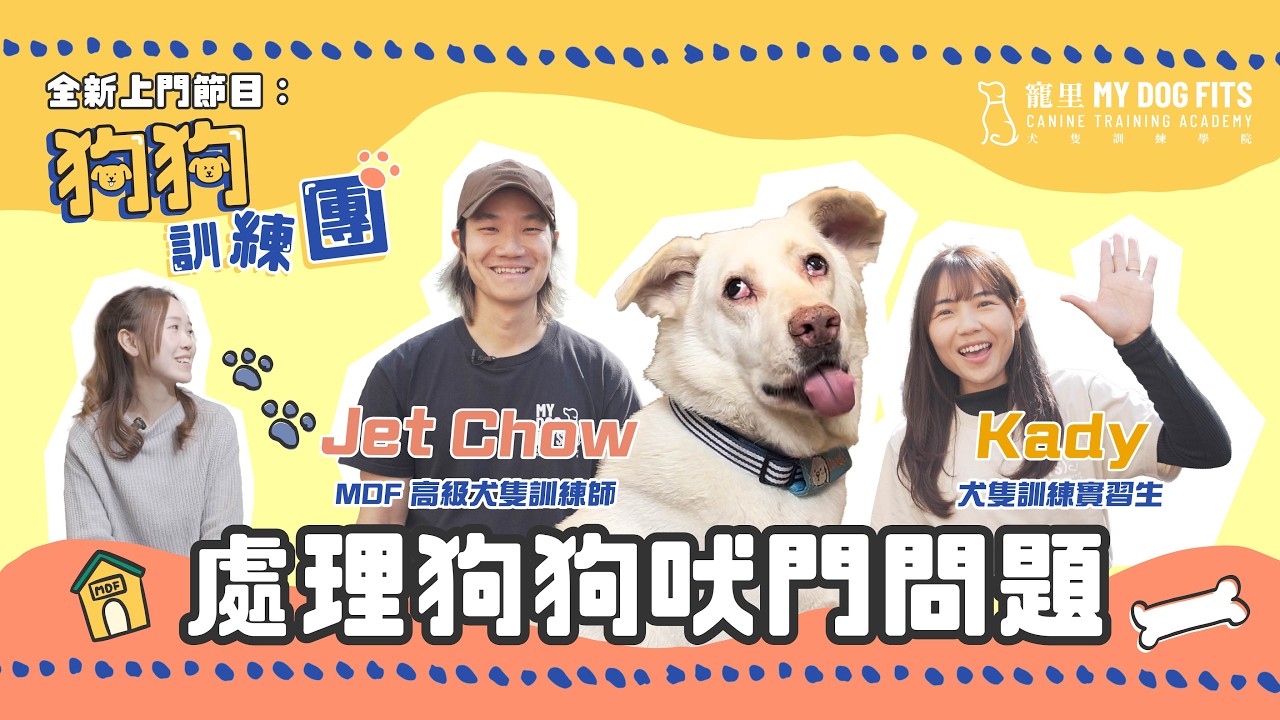見陌生人吠？入屋又吠？上門教你解決狗狗吠門問題｜狗狗訓練團｜犬隻訓練｜MDF