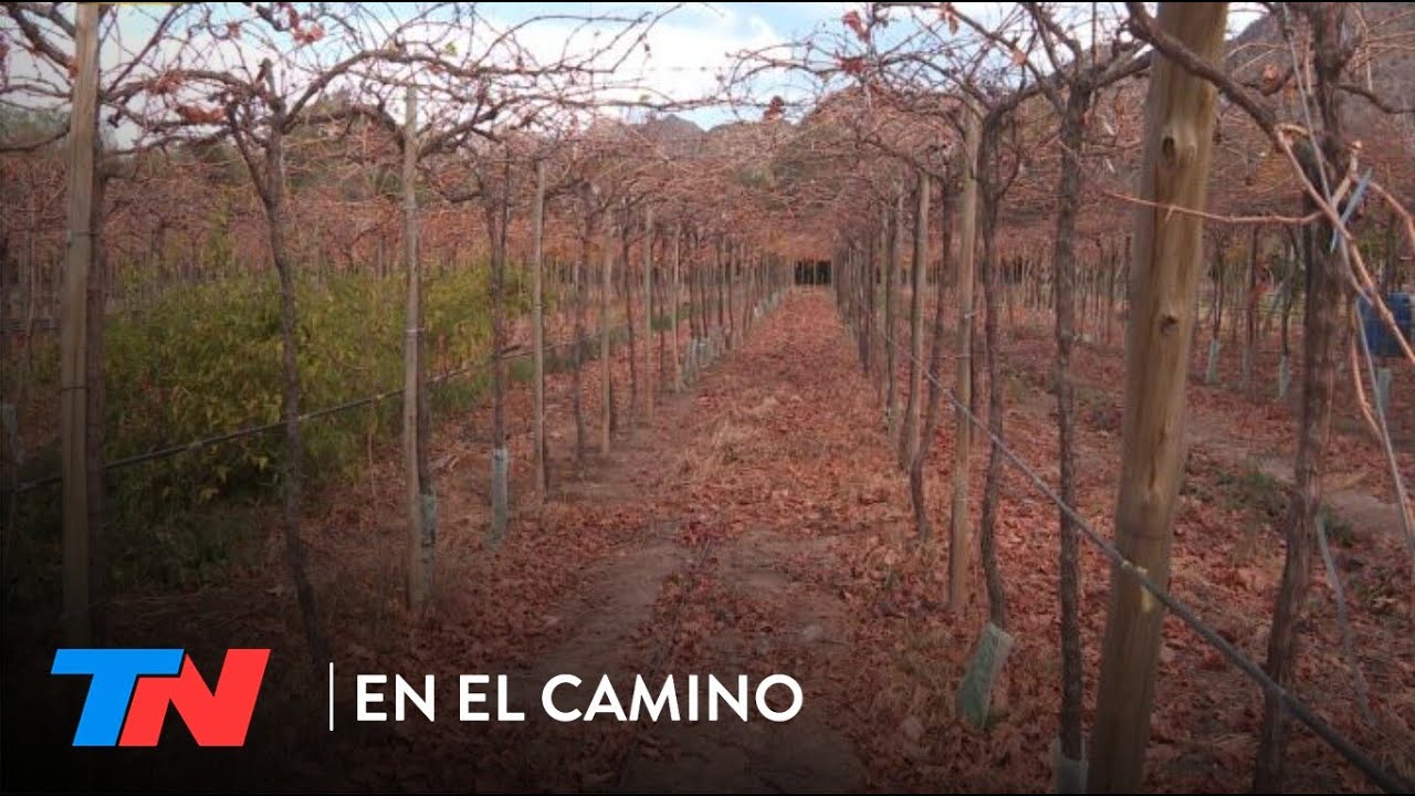 EN EL CAMINO - EN LO MAS ALTO DE LA RIOJA (Programa completo del 10/02/2023)