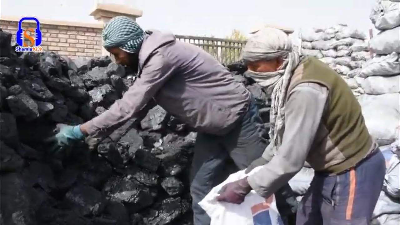 قیمت زغال سنگ در غزنی افزایش کرده/غزني کې د ډبروسکارو قیمتونه لوړ شوي دې راپور