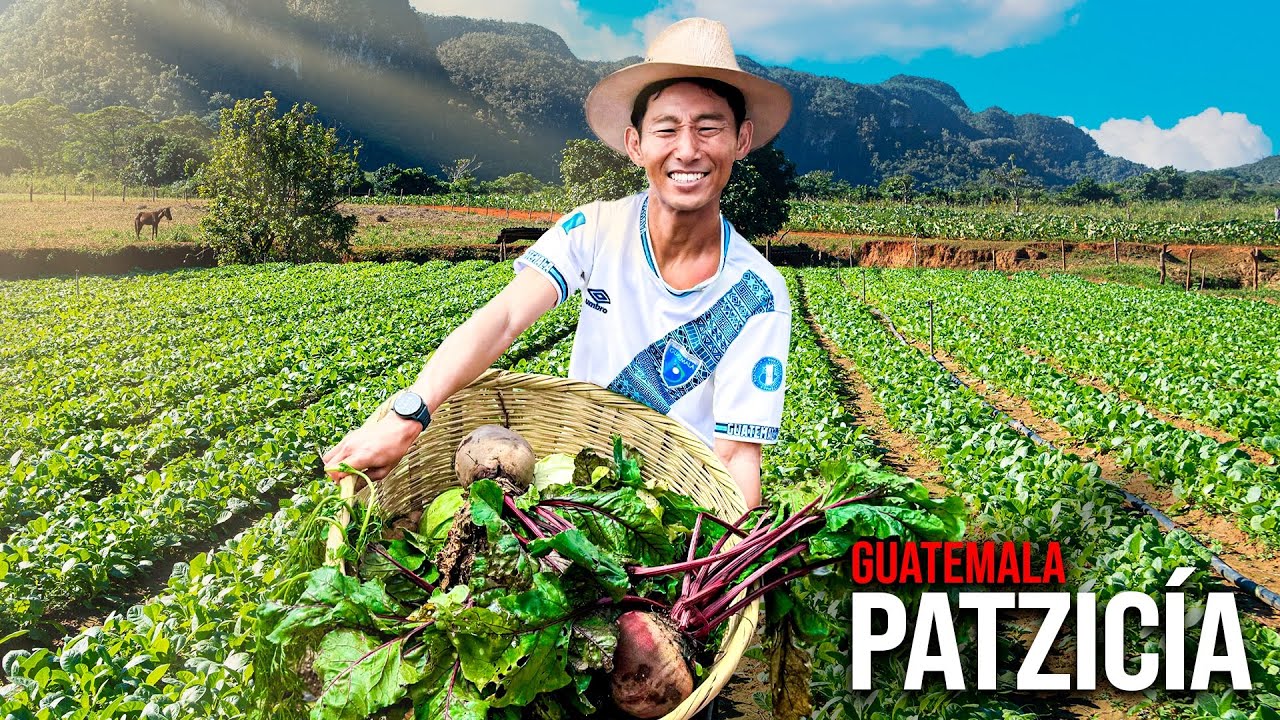 Soy campesino en la ciudad que alimenta TODO CENTROAMÉRICA: Patzicía, Guatemala 🇬🇹