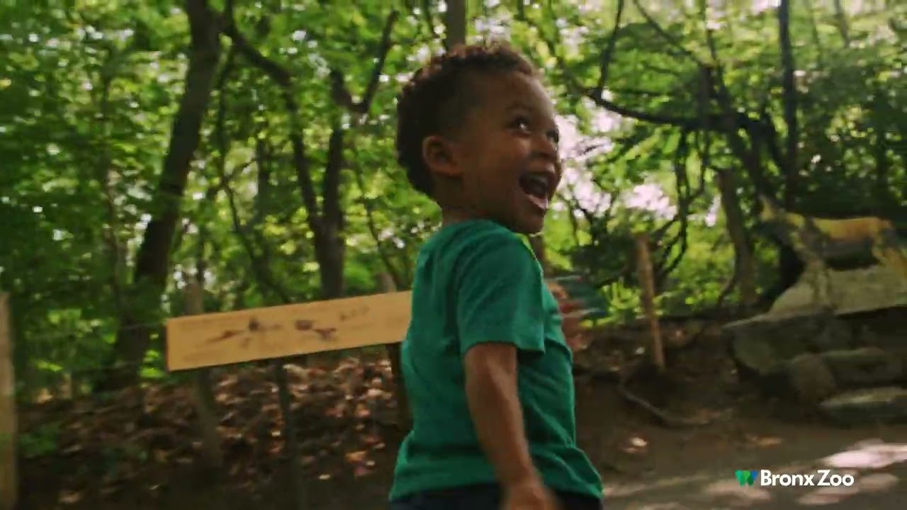 African Plains :15s | Bronx Zoo