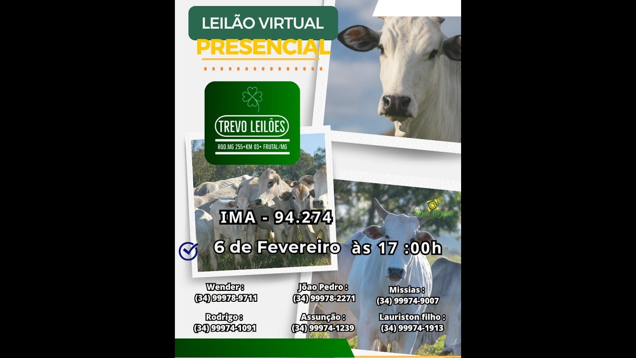 Leilão Presencial e Virtual  na Trevo Leilões, FRUTAL-MG - Dia 06/02/2026