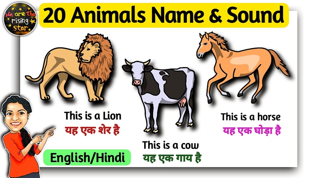 20 Animals Name & Sound | English & Hindi | Simple Sentences | WATRstar