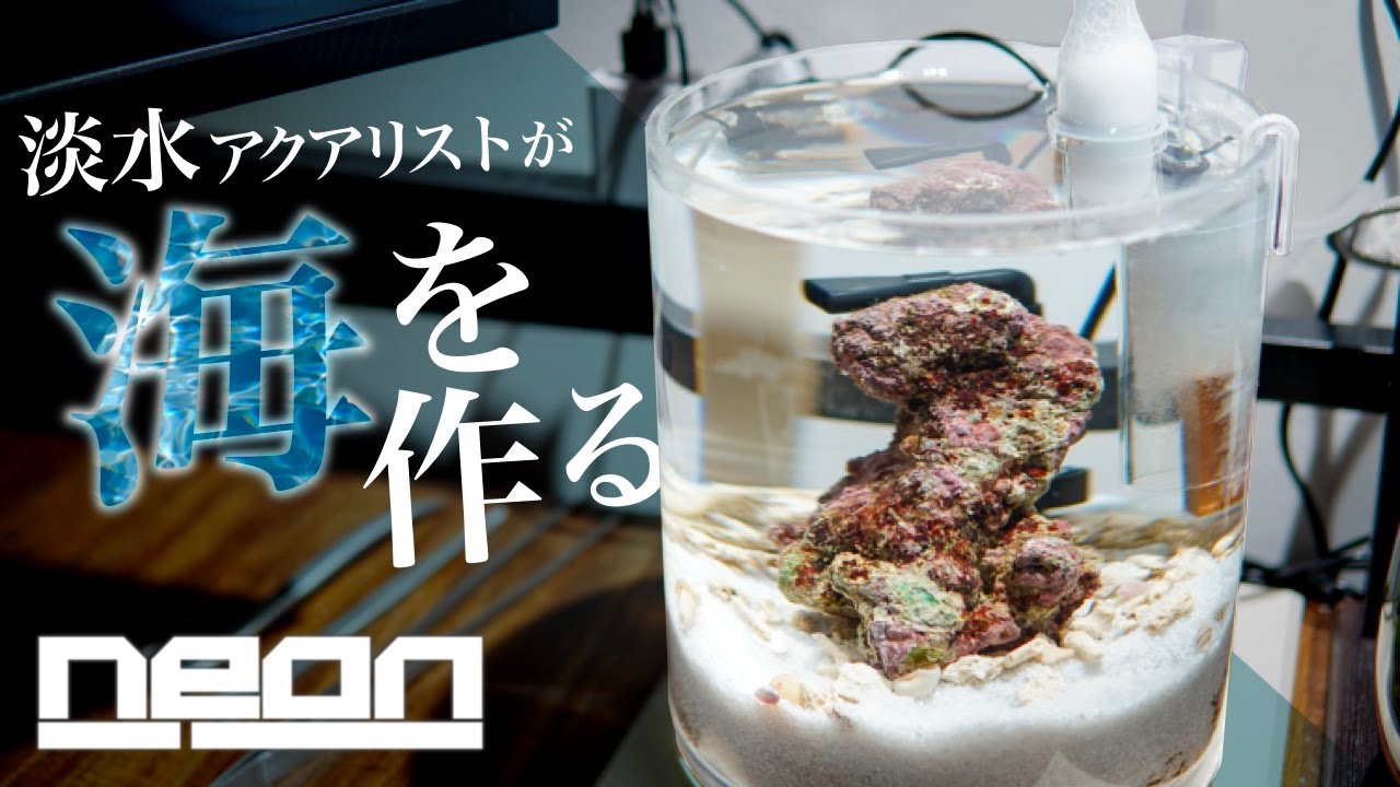 【マリンボトルアクア】淡水アクアリストが作る海水魚ボトル水槽！海を作る【 ne0n 】 #アクアリウム #マリンアクアリウム #海水魚水槽