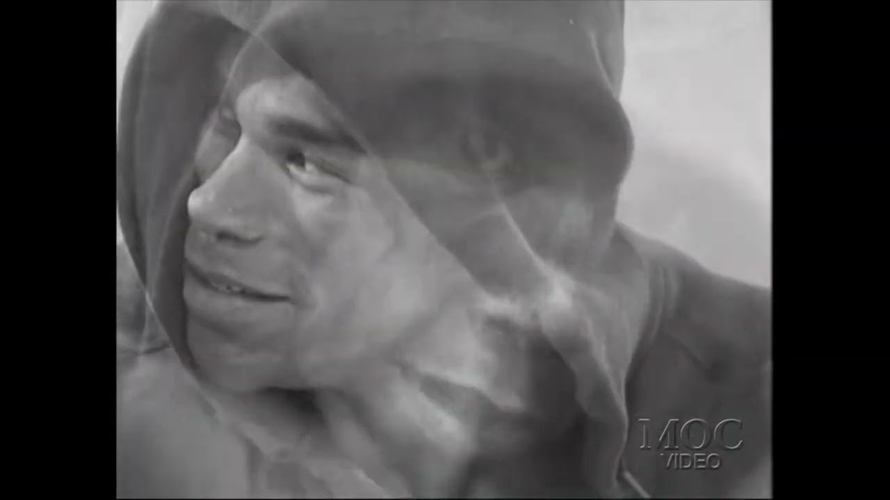 Animal I Have Become (Kevin Levrone Schizo Lifter Edit)