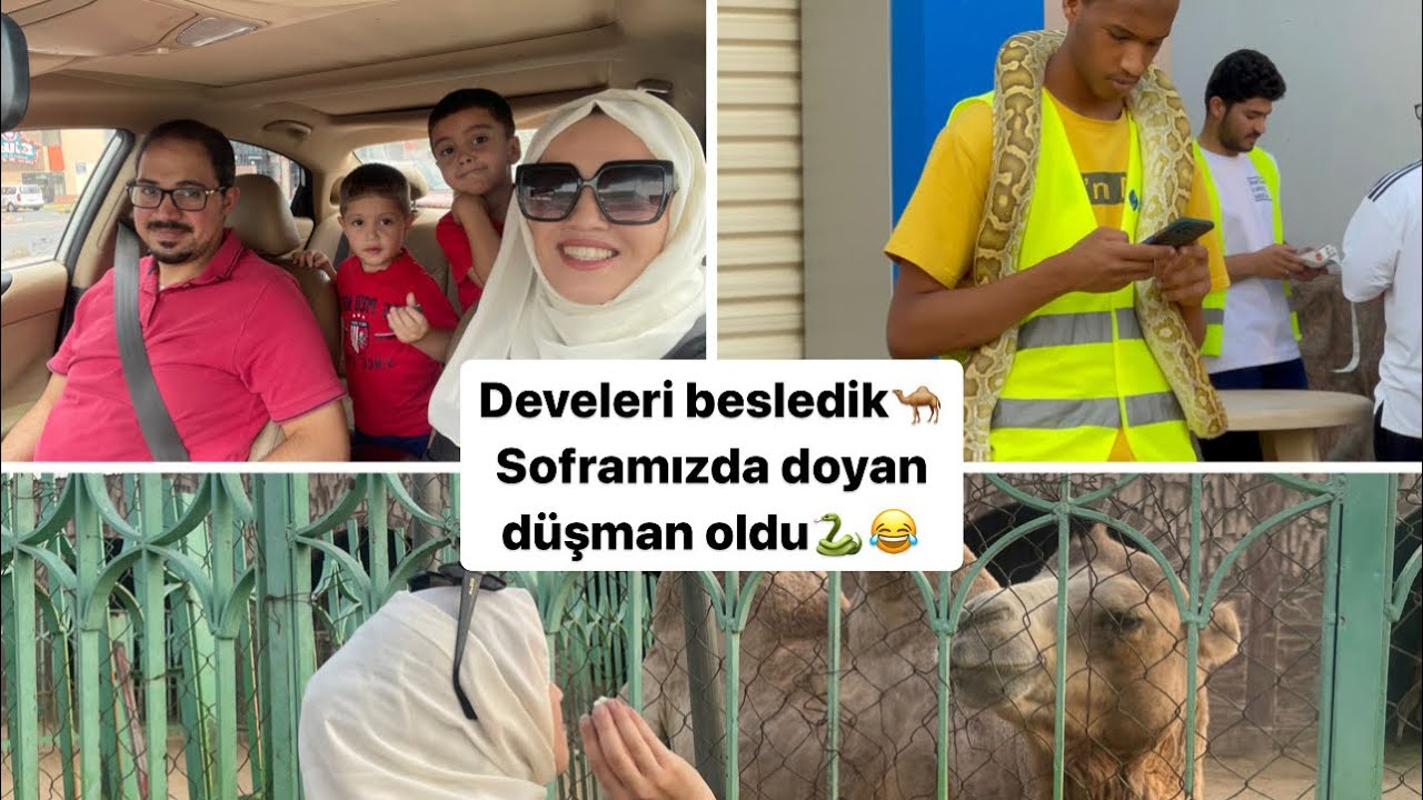 ÇOK iyi geldi❓🥺🤲🏻TÜRKİYE öncesi son Tatilimiz🤫TAİF/Suudi Arabistan