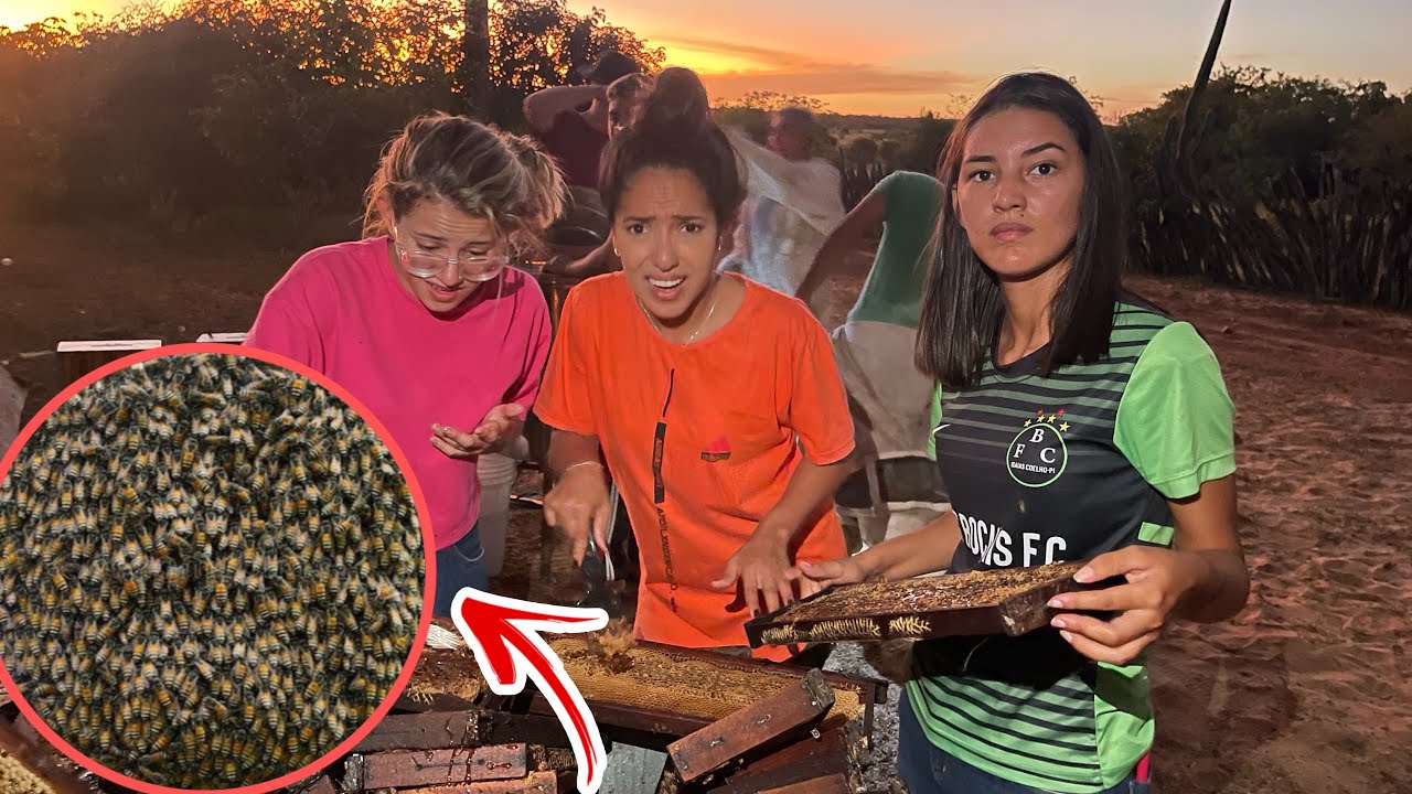 FORAM MEXER COM ABELHAS E DEU MUITO RUIM