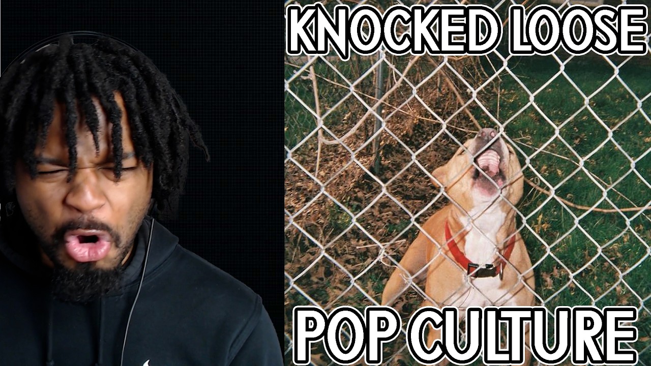 This EP Might be my favorite. Knocked Loose - Pop Culture EP Reaction.